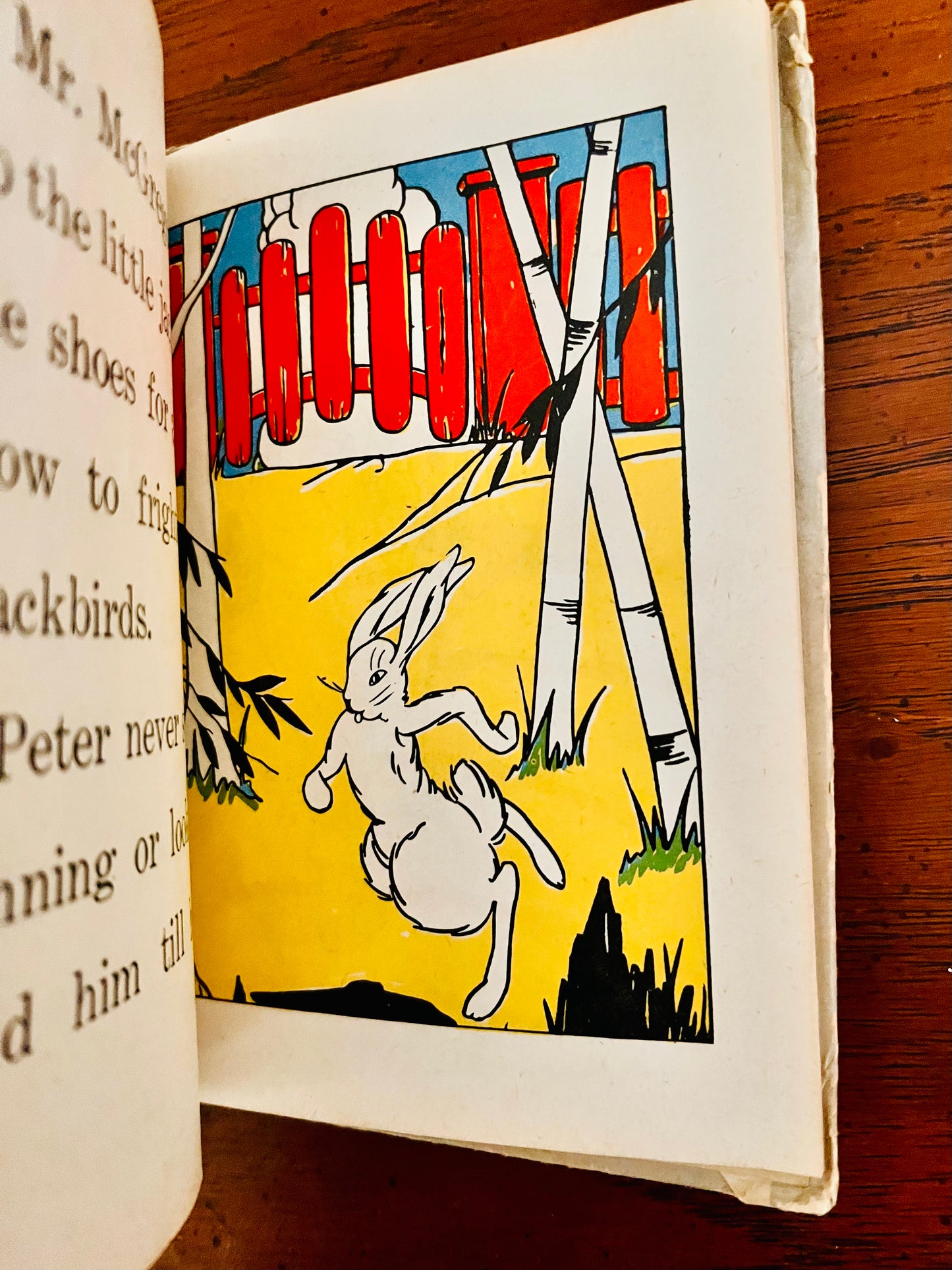 1938 Adventures of Peter Rabbit Book Publishers McLoughlin Bros Inc