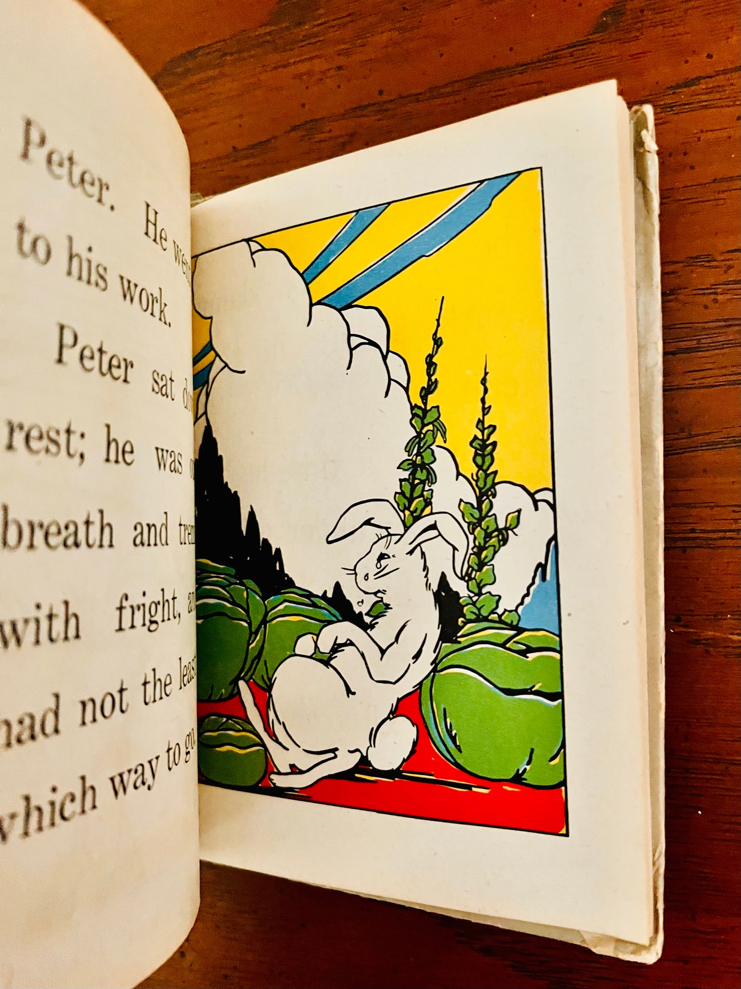 1938 Adventures of Peter Rabbit Book Publishers McLoughlin Bros Inc